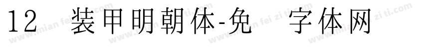 12 装甲明朝体字体转换